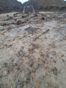 S8 zadanie1 20251117 01 odkryty sączek drenażowy