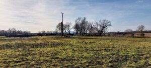 S8 zadanie1 04 20251208 palowanie WD 109