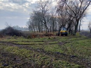 S8 zadanie1 05 20251203 wycinka drzew 119+400