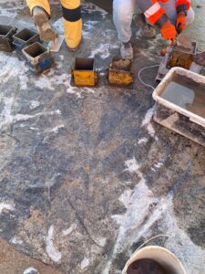 S8 zadanie1 16 20251029 SANBET Ślęza próbne zaroby