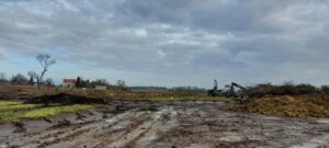 S8 zadanie1 16 20251212 wycinka drzew 119+400