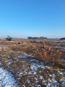 S8 zadanie1 02 20260108 sprzatanie po wycince 119+400