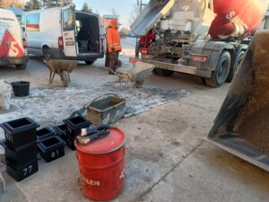 S8 zadanie1 05 20260122 zaroby próbne Sanbet