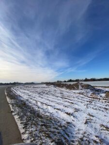 S8 zadanie1 10 20260102 odhumusowanie 119+700