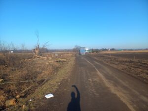 S8 zadanie1 04 20260119 km 117+130 wycinka drzew przy drodze gminnej 107061D