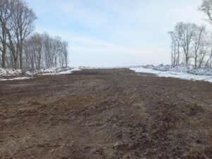 S8 zadanie1 15 20260219 115+840 115+980 odcinek po wycince drzew i usunięciu karpin