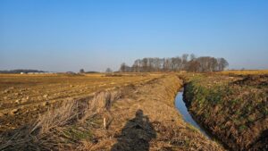 S8 zadanie1 18 20260318 ciek MS 114